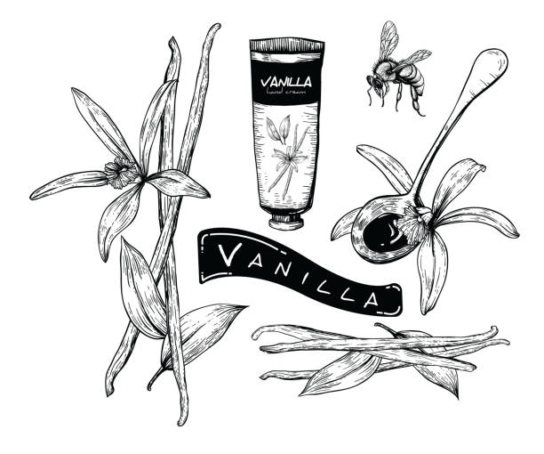 pate de vanille